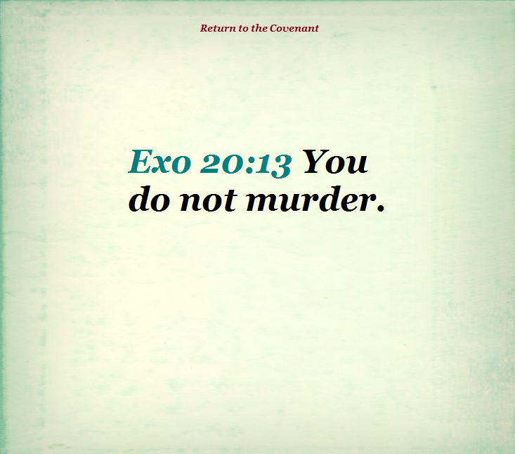 Exo 20-13.png